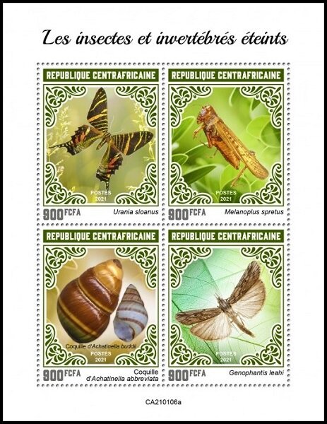 Various Insects