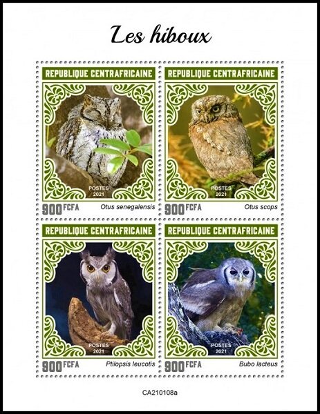 Various Owls