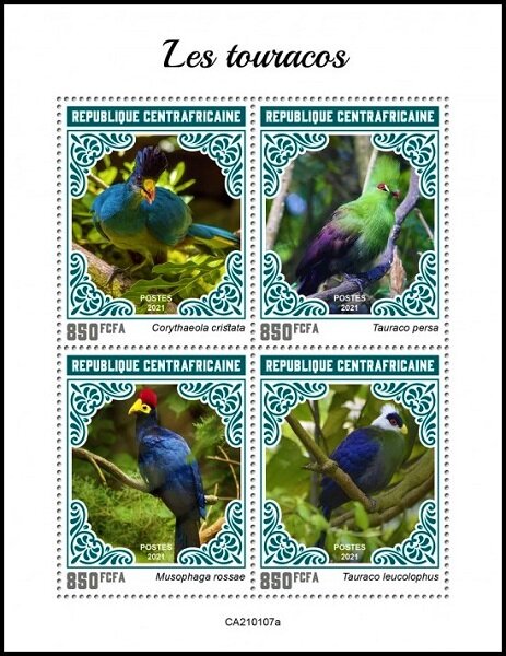 Various Turacos