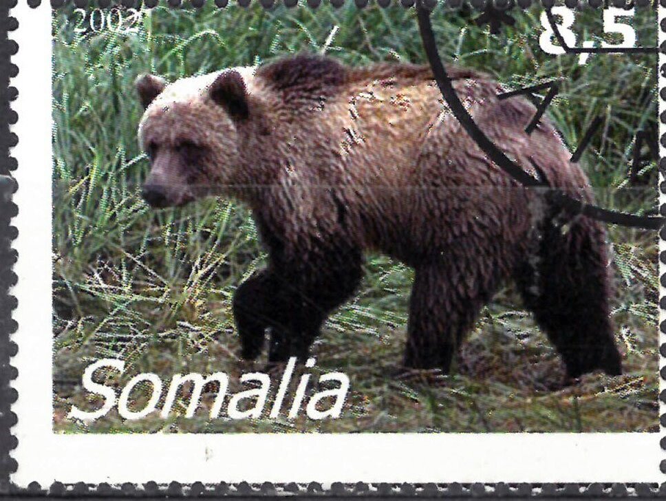 Animals