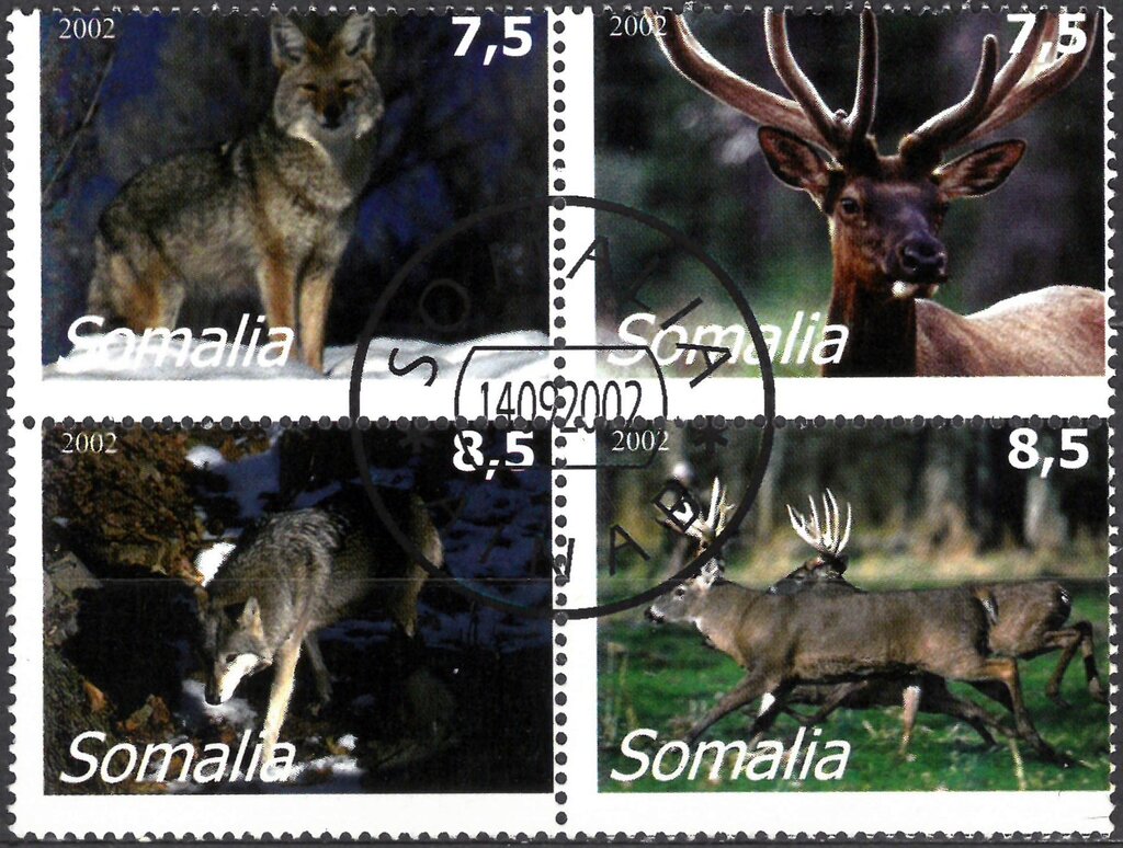 Animals