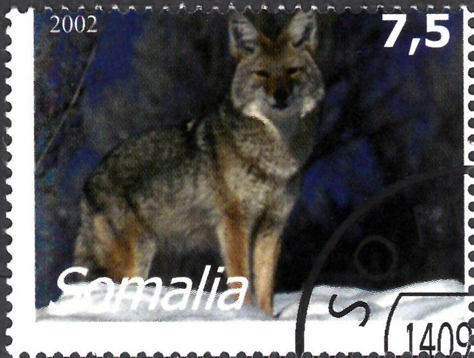 Animals