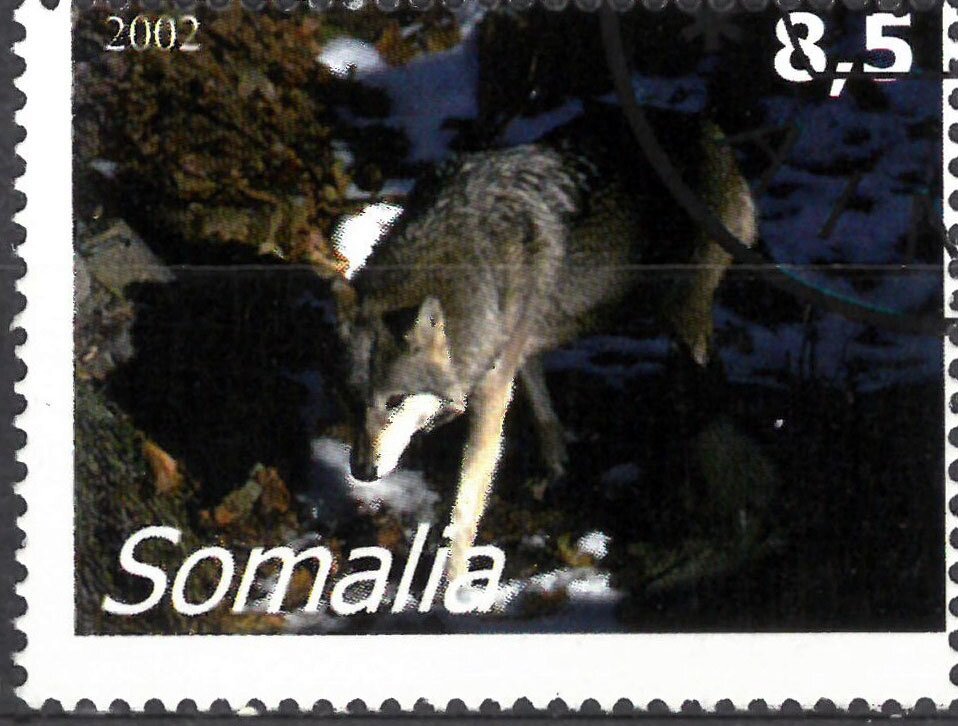 Animals