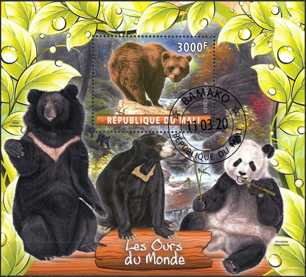 Bears