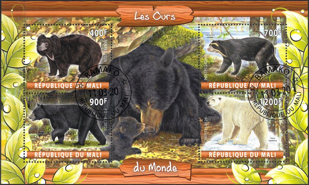 Bears