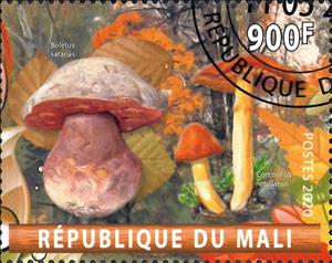 Stamp, Boletus satanas and Cortinarius orellanus, Cinderellas,  , Mushrooms