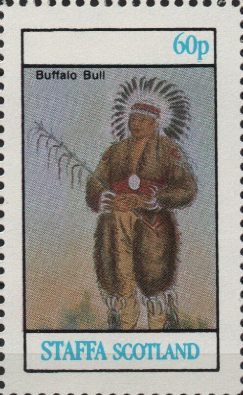 Buffalo Bull