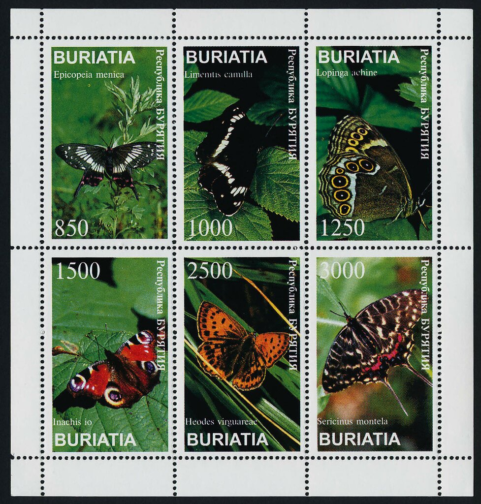 Butterflies