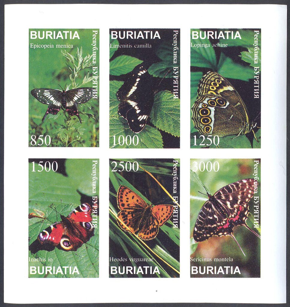 Butterflies