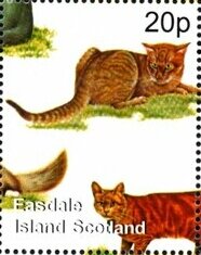 Cats