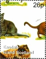 Cats