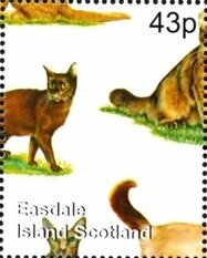 Cats