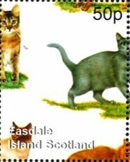Cats