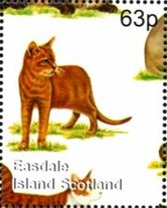Cats