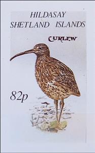 Stamp, Curlew, Cinderellas,  , Animals (Fauna), Birds