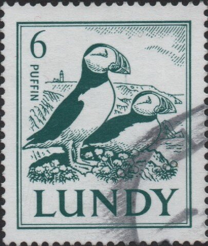 Definitive, pair of Puffins