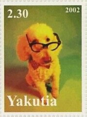Dogs