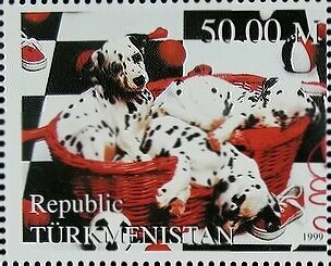 Dogs