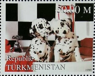 Dogs