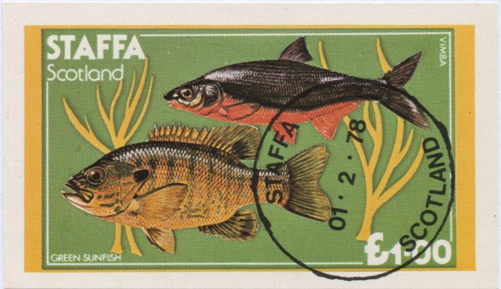 Fish, Vimba and Green Sunfish