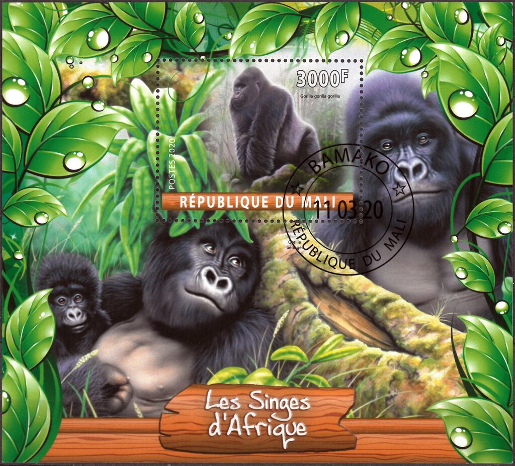Gorillas