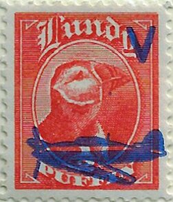 Stamp, Head of Puffin, Cinderellas,  , Animals (Fauna), Birds, Puffins