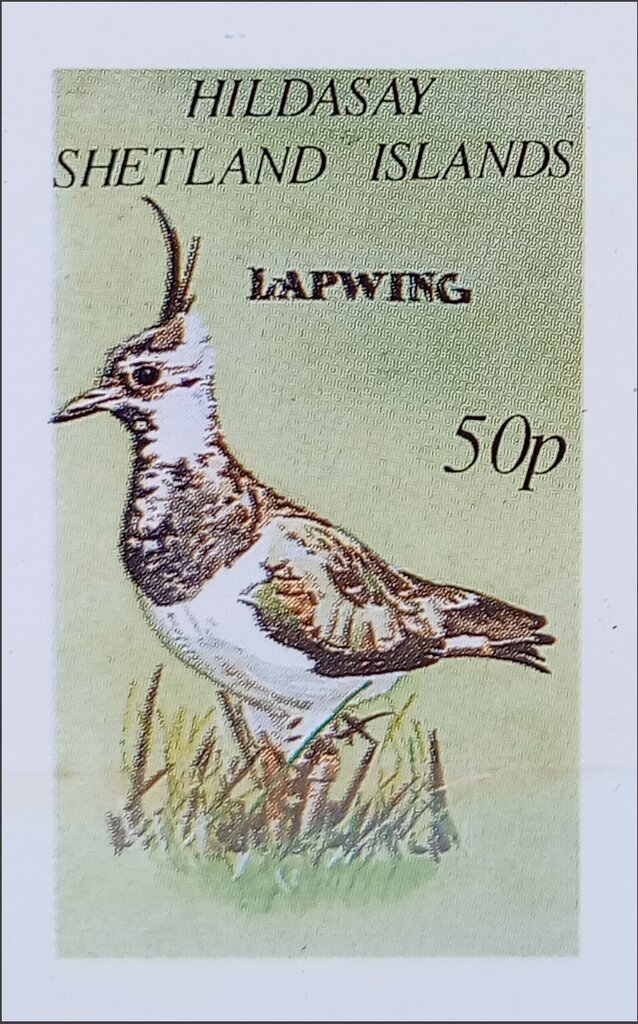 Lapwing