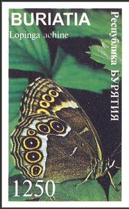 Stamp, Lopinga achine, Cinderellas,  , Butterflies