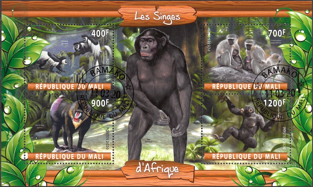Monkeys