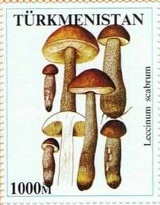 Mushrooms