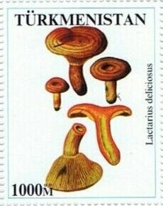 Mushrooms