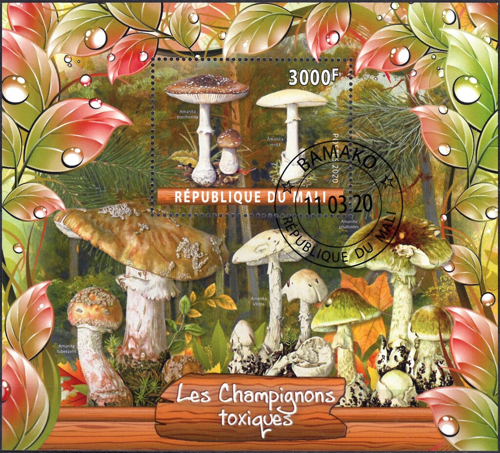 Mushrooms