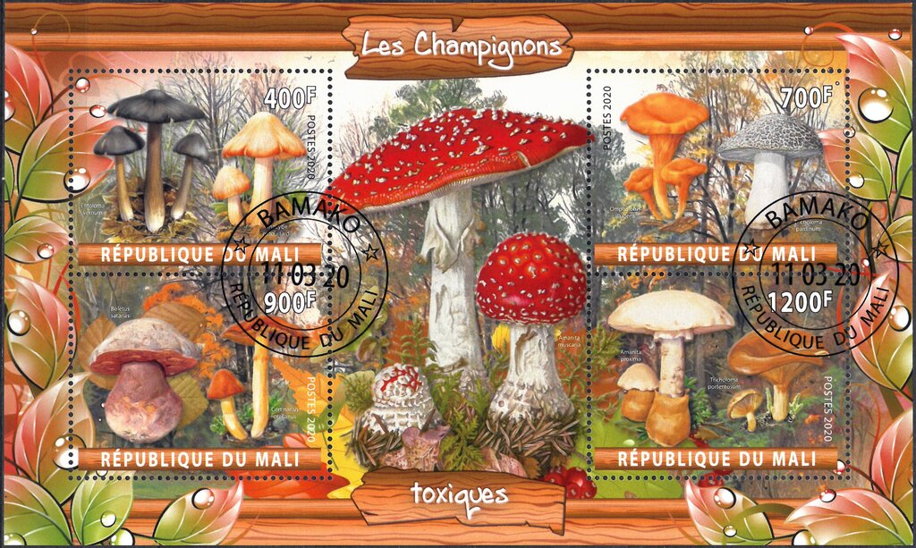 Mushrooms