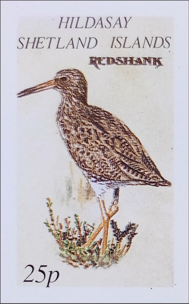 Redshank