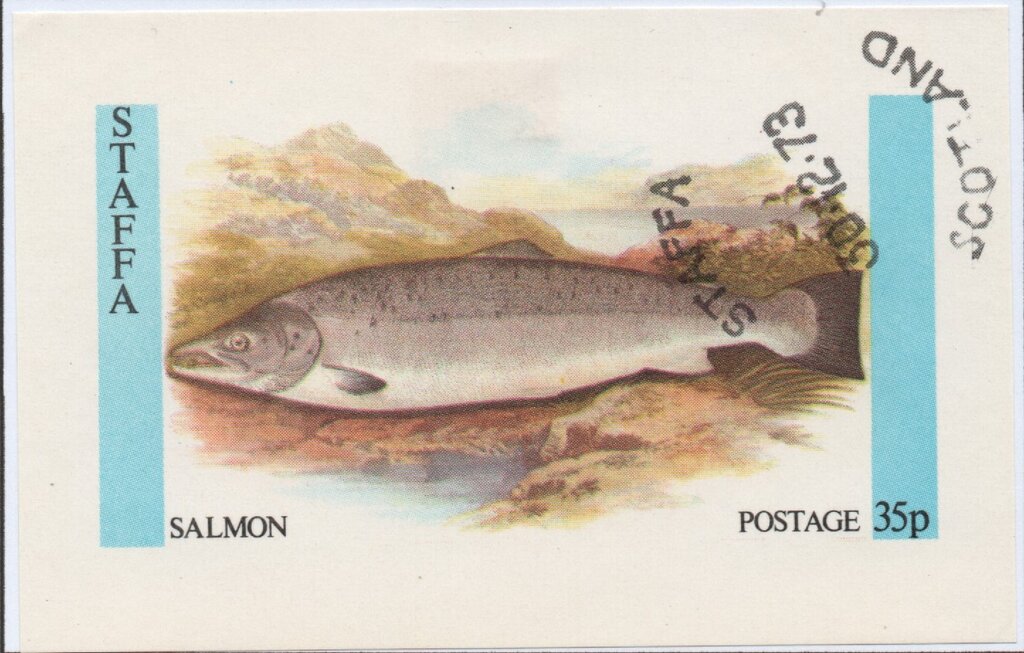 Salmon