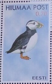 Seabirds