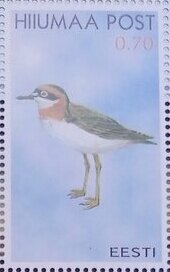 Seabirds