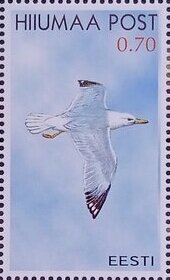 Seabirds