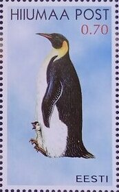 Seabirds
