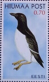 Seabirds