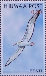 Seabirds