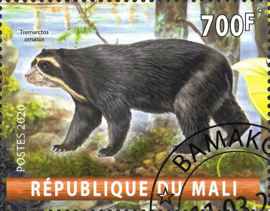 Trearctos ornatus