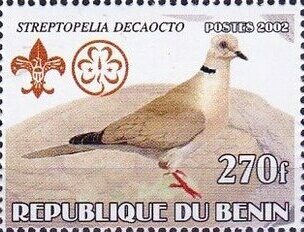 Stamp, Various Pigeons, Cinderellas,  , Birds, Pigeons