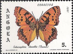 Stamp, Pirate (Catacroptera cloanthe), Angola,  , Insects, Butterflies, Animals (Fauna)