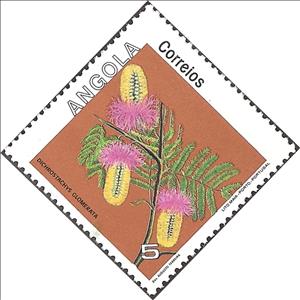 Stamp, Flowers of Angola, Angola,  , Flowers