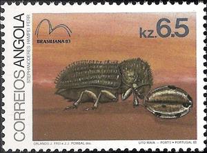 Stamp, Coffee Berry Borer (Stephanoderes hampei) , Angola,  , Insects, Animals (Fauna)