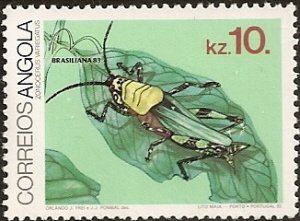 (Zonocerus variegatus)