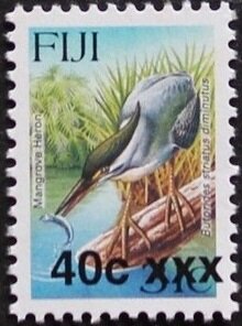Striated Heron (Butorides striatus)