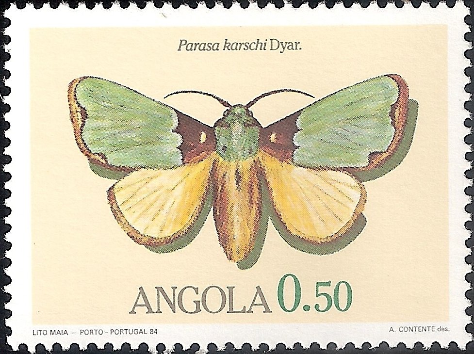 (Parasa karschi)