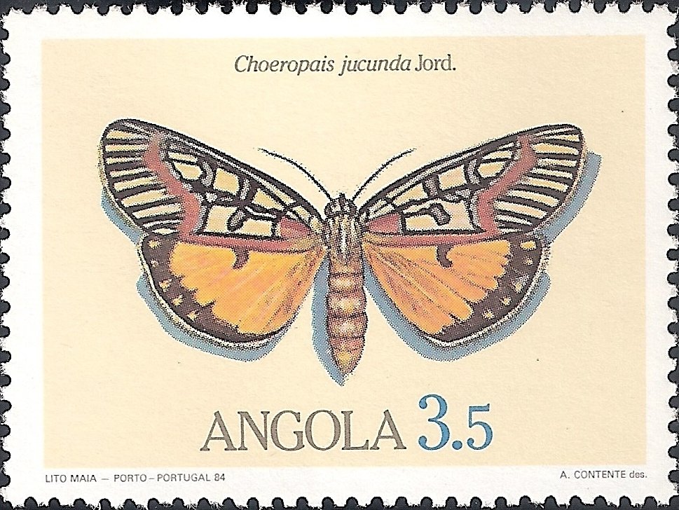 (Choeropasis jucunda)